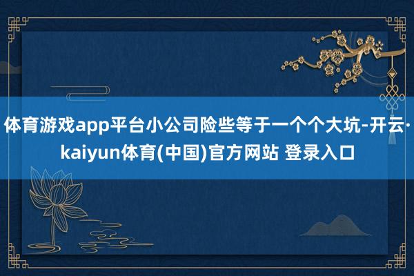 体育游戏app平台小公司险些等于一个个大坑-开云·kaiyun体育(中国)官方网站 登录入口