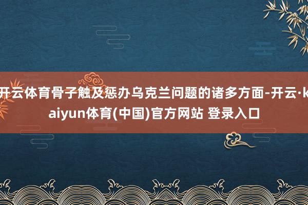 开云体育骨子触及惩办乌克兰问题的诸多方面-开云·kaiyun体育(中国)官方网站 登录入口