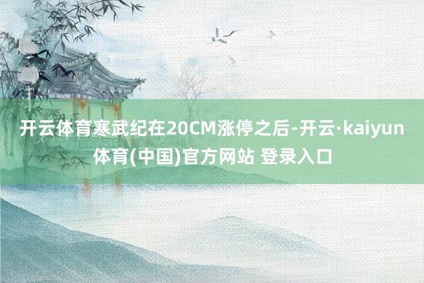 开云体育寒武纪在20CM涨停之后-开云·kaiyun体育(中国)官方网站 登录入口